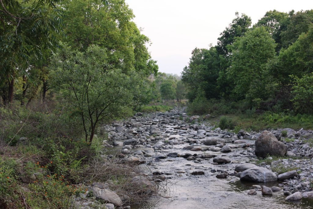 Jim Corbett National Park